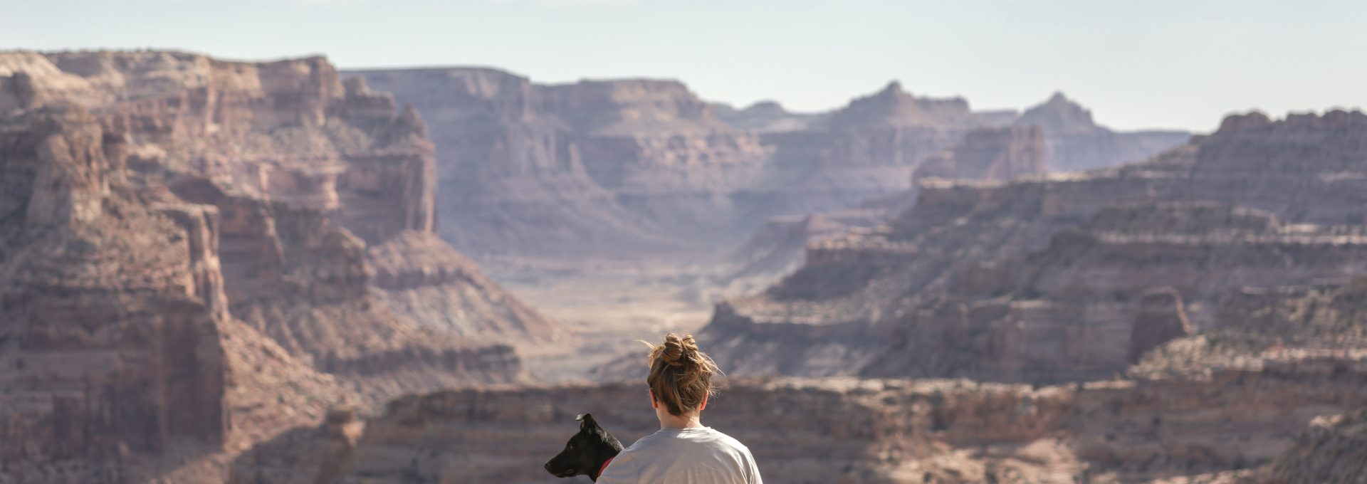 person with dog sitting on Grand Canyon cliff